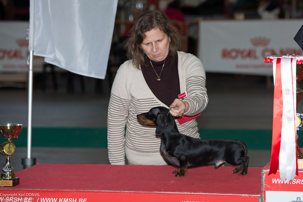 gal/Expo_janvier_2015/2015-02-27 13.31.54-1.jpg